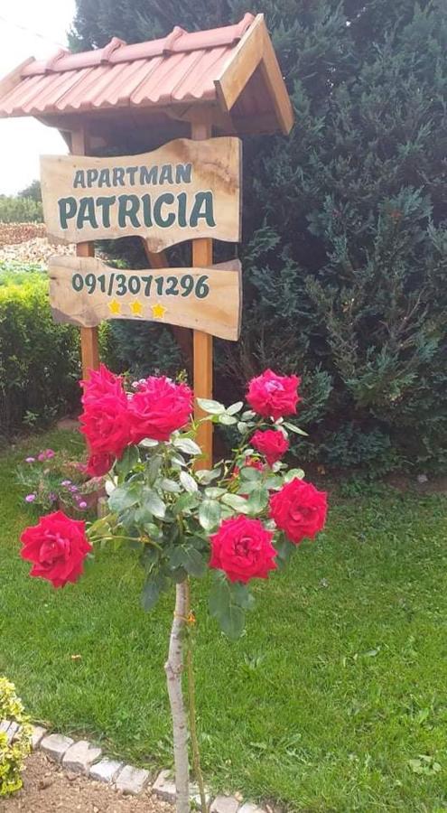 Apartman Patricia Apartment Fužine Екстериор снимка
